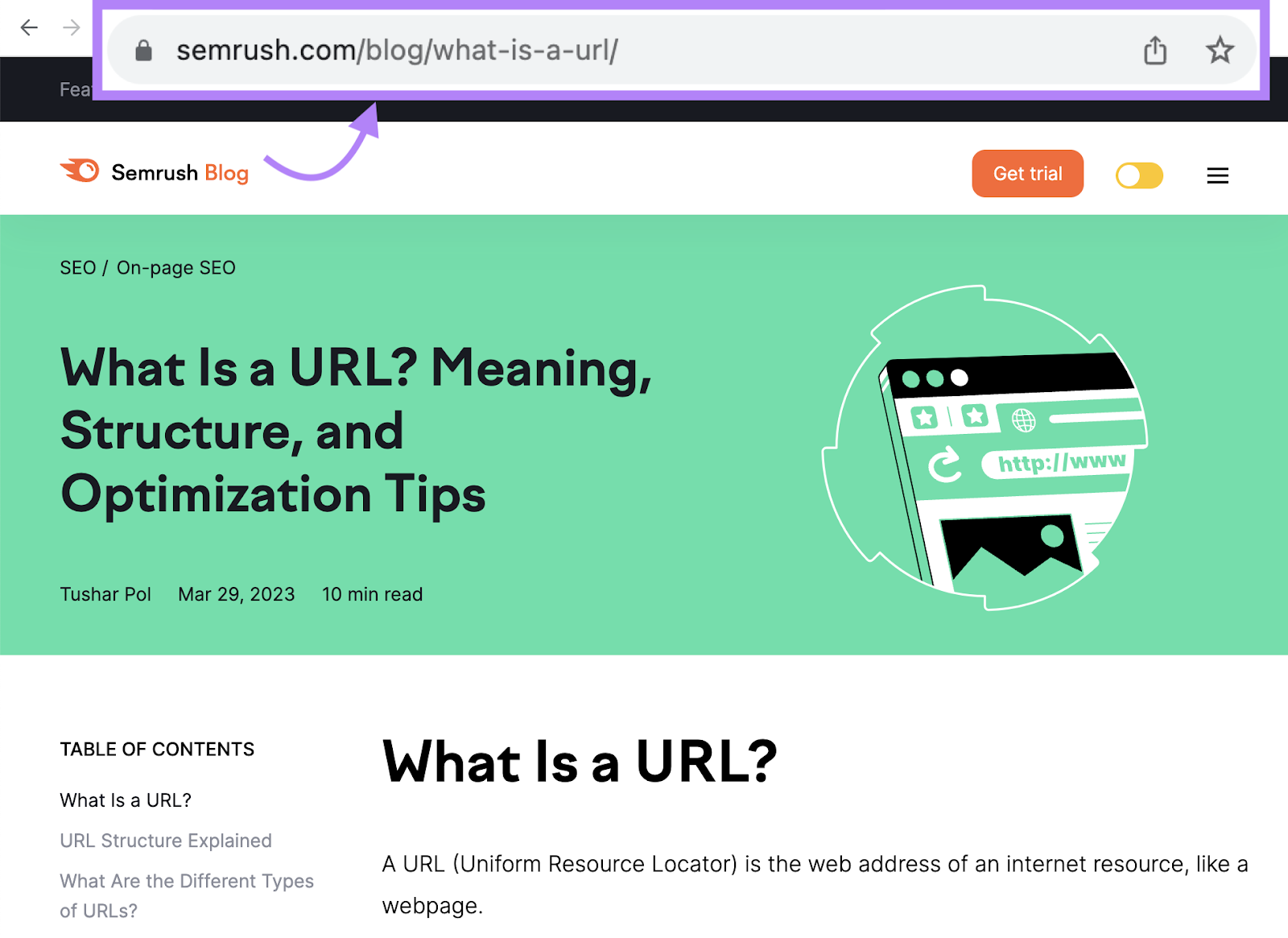 The URL for a blog post reads "sr03.toolzpad.com/blog/what-is-a-url/."