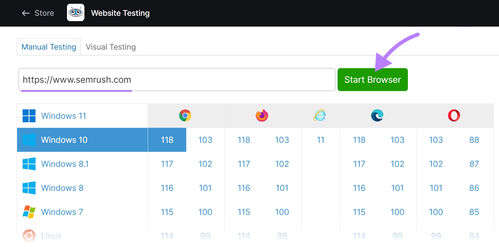 “Manual Testing” tab in Website Testing tool, with "sr03.toolzpad.com" domain and "Windows 10" selected