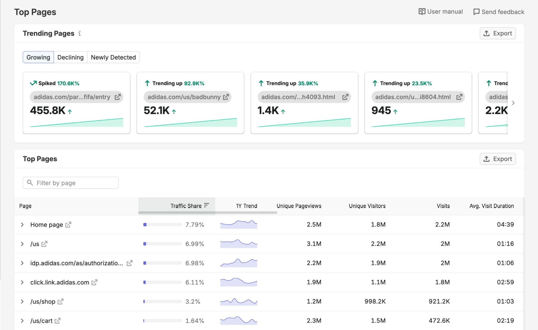 Top Pages report showing a list of a domain pages that draws the most visits.