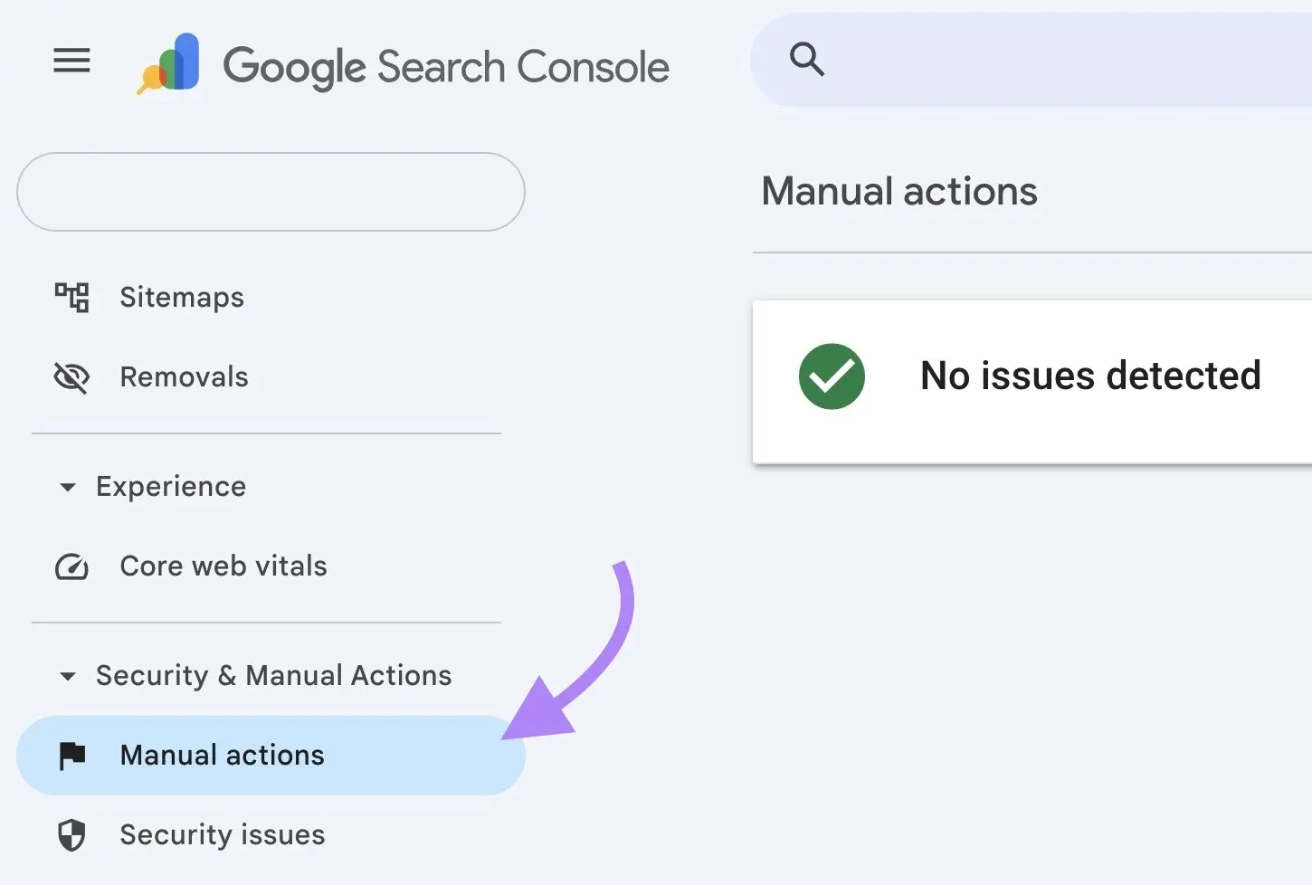 Google Search Console Manual actions report showing no issues detected