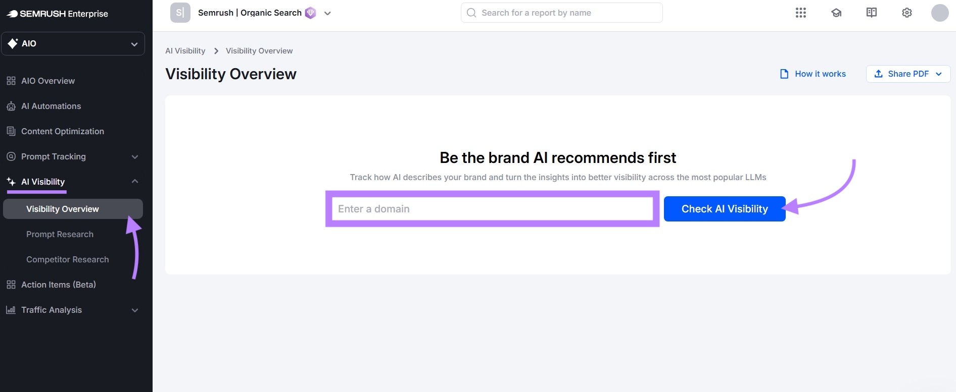 The Visibility Overview report with the input box to enter a domain and the "Check AI Visibility" button highlighted.