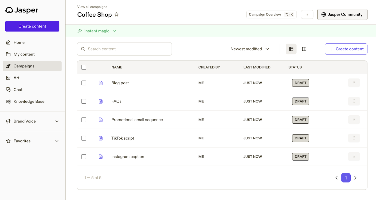AI copy drafts are listed for blog post, faqs, promotional emails, tiktok script, and instagram caption based on one request.