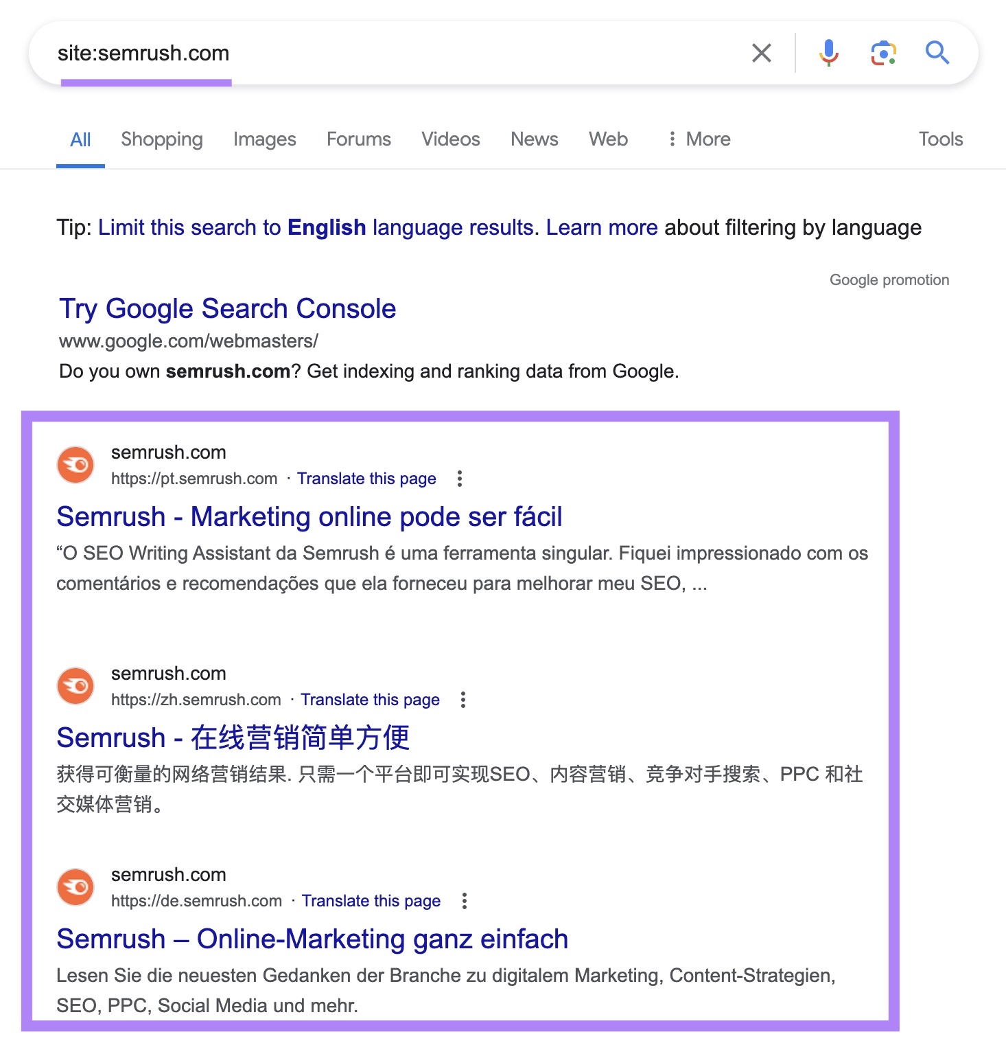 site search for "sr03.toolzpad.com" on Google with the indexed results highlighted