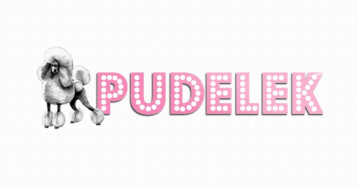 plejada.pl favicon